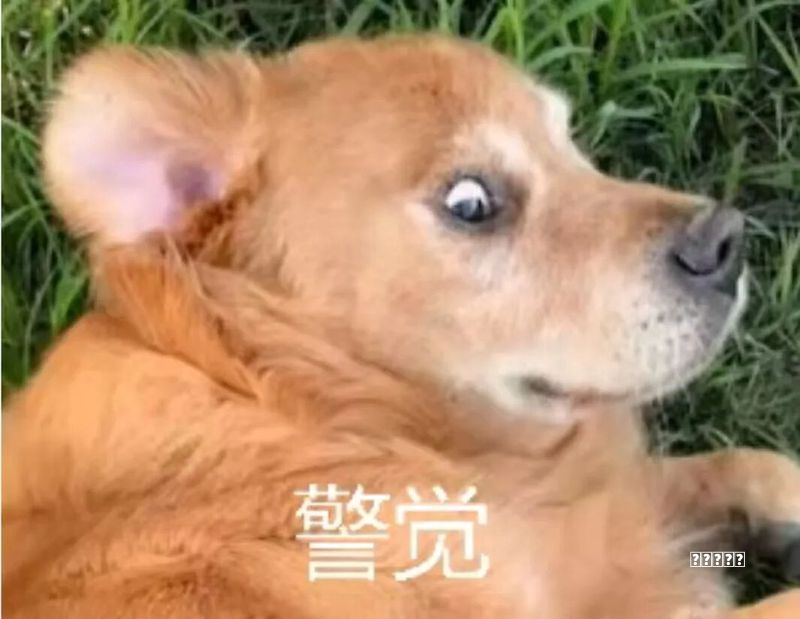 荣耀WIN一个月深度评测：不只是教程能猛兽！